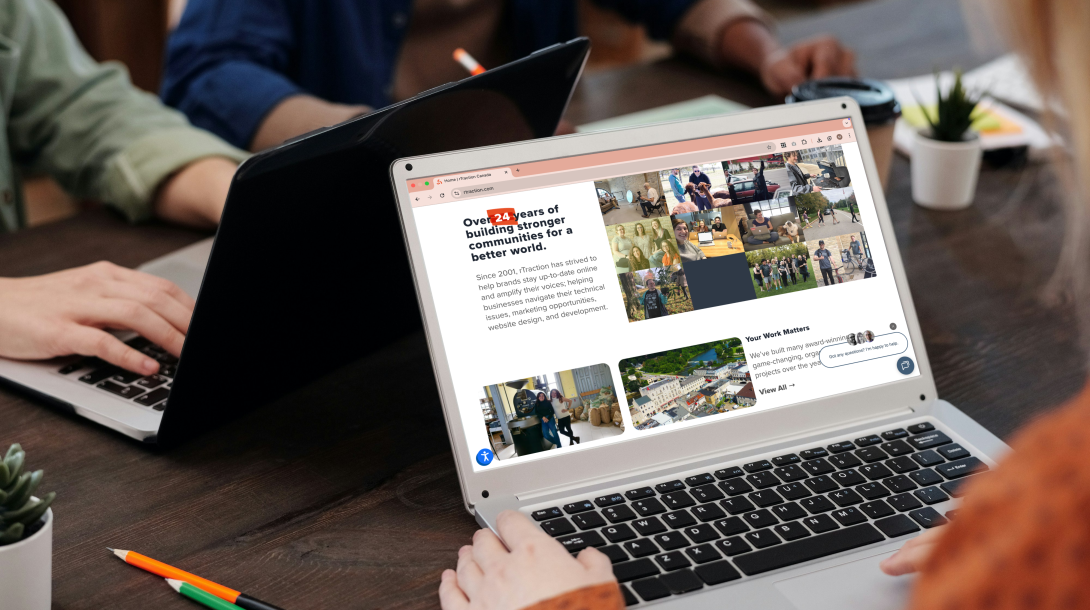 group of people working on their laptops