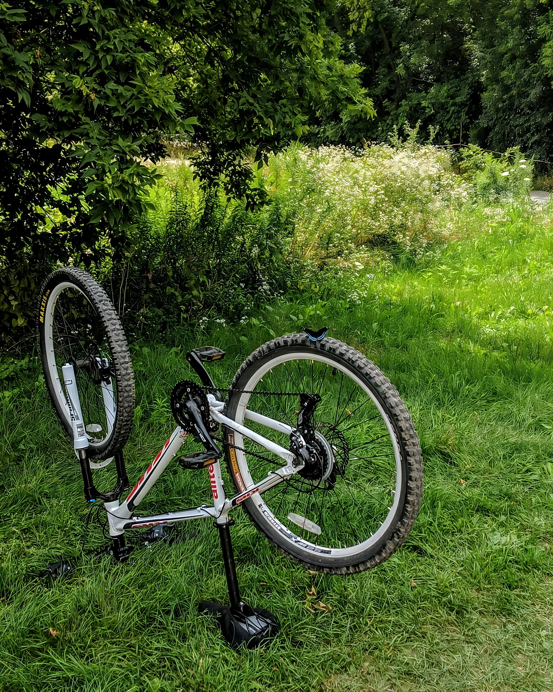 "An upside down trail bike ft. a butterfly on the tire."