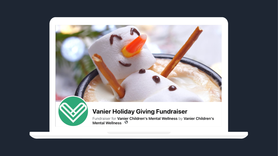 Showcasing the Meta Fundraising Page for the Holiday Campaign
